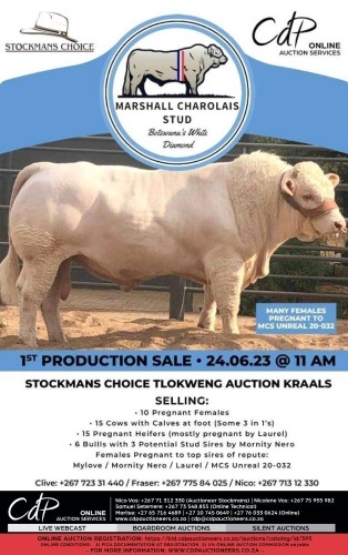 UZA FARMING 2ND PRODUCTION SALE - TLOKWENG,BOTSWANA