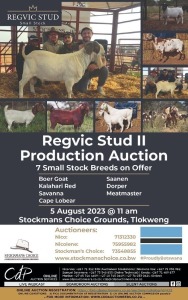 REGVIC STUD PRODUCTION AUCTION, TLOKWENG, BOTSWANA