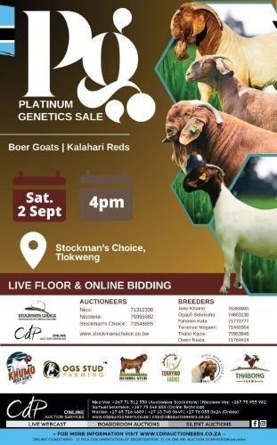 PLATINUM GENETICS SALE TLOKWENG BOTSWANA