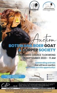 BOER GOAT & DORPER SOCIETY AUCTION BOTSWANA