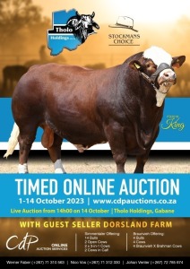 THOLO HOLDINGS TIMED & LIVE AUCTION - BOTSWANA