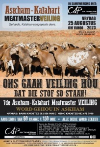 7de ASKHAM KALAHARI VEILING