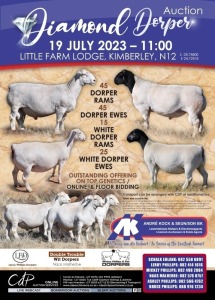 DIAMOND DORPER AUCTION KIMBERLEY