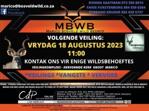 MBWB - WILDVEILING - Groot Marico