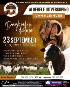 MAGNUM BOERDERY ALGEHELE UITVERKOPING @75 Pretoria