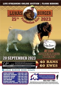 LUKAS BURGER 25th PRODUCTION SALE 2022