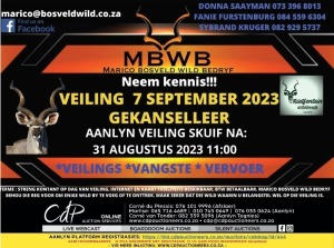 MBWB - WILDVEILING - Groot Marico