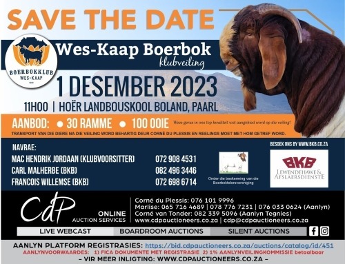 WES-KAAP BOERBOK KLUBVEILING - BOLAND PAARL