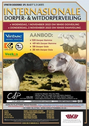 INTERNASIONALE DORPER & WIT DORPER VEILING - UPINGTON