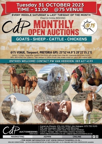 CDP COMMERCIAL AUCTION @75 Pretoria