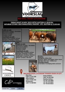 VOORSLAG FARMERS SUPPLIES AUCTION, LETLHAKANE, BOTSWANA 