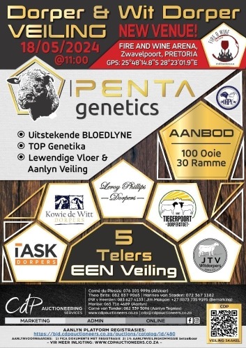 PENTA GENETICS - DORPER VEILING FIRE & WINE PRETORIA