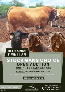 STOCKMANS CHOICE OPEN AUCTION BOTSWANA