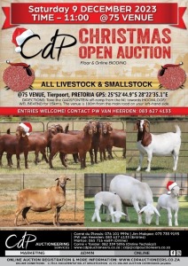 CDP CHRISTMAS COMMERCIAL AUCTION @75 Pretoria