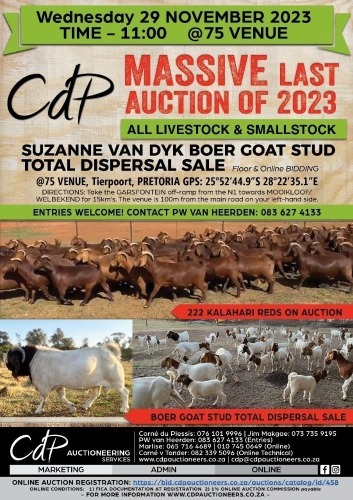 CDP CHRISTMAS COMMERCIAL AUCTION @75 Pretoria