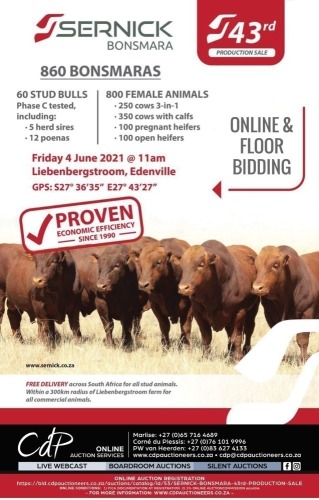 SERNICK BONSMARA 43rd PRODUCTION SALE