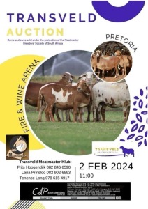 TRANSVELD MEATMASTER CLUB AUCTION