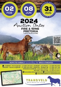 TRANSVELD MEATMASTER CLUB AUCTION 