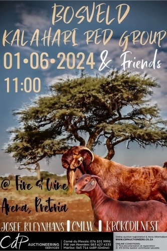 BOSVELD KALAHARI RED GROEP VEILING