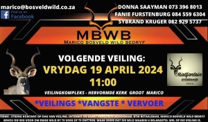 MBWB - WILDVEILING - Groot Marico