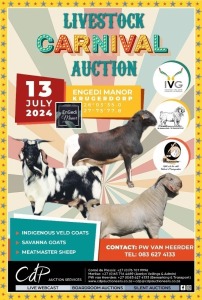 CDP LIVESTOCK CARNIVAL AUCTION 