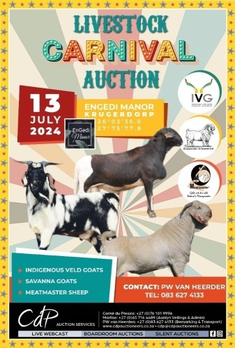 CDP LIVESTOCK CARNIVAL AUCTION 