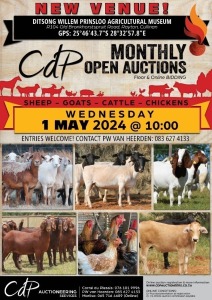 CDP OPEN COMMERCIAL AUCTION - DITSONG WILLEM PRINSLOO AGRICULTURAL MUSEUM