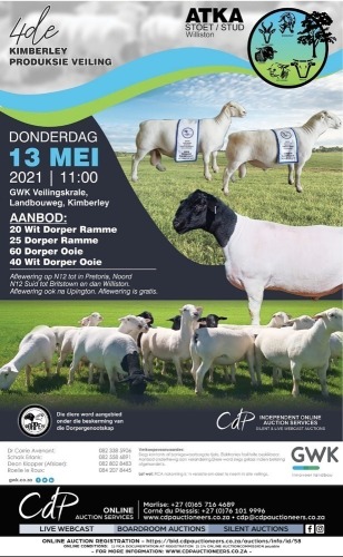 ATKA STOET 4 DE KIMBERLEY PRODUKSIE VEILING