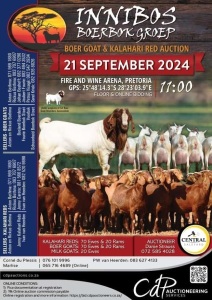 INNIBOS BREEDING GROUP - KALAHARI RED AUCTION