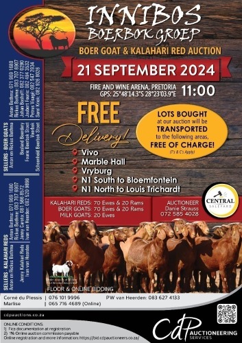 INNIBOS BREEDING GROUP - KALAHARI RED AUCTION