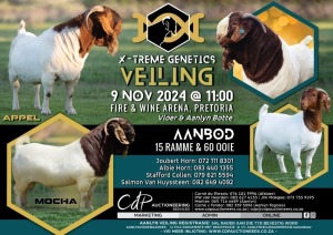 XTREME GENETICS AUCTION