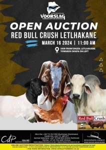 VOORSLAG RED BULL CRUSH OPEN AUCTION