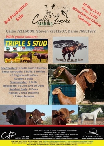 TRIPLE S STUD & CALLIE LEMCKE FARMING