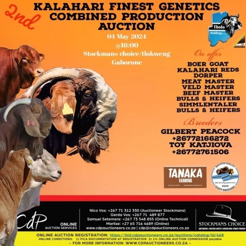 KALAHARI FINEST GENETICS