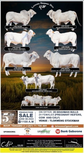 LETSOMO BRAHMAN STUD 5TH PRODUCTION SALE