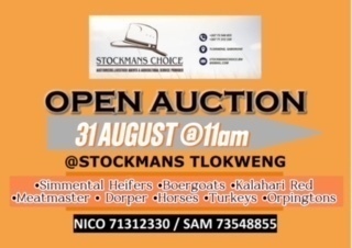 STOCKMANS OPEN