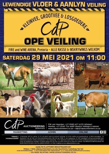 CDP  AUCTION - PRETORIA
