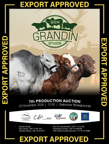 GRANDIN STUD & TRIFECTA ELITE AUCTION