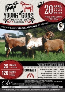 YOUNG GUNS MEATMASTER AUCTION