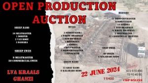 LVA PRODUCTION SALE