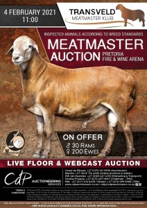 TRANSVELD MEATMASTER CLUB AUCTION