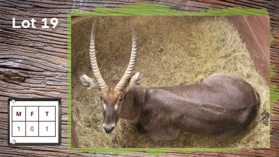 1X WATERBOK M:1