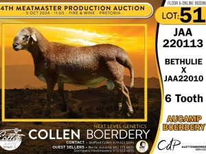 1X MEATMASTER RAM AUCAMP BOERDERY