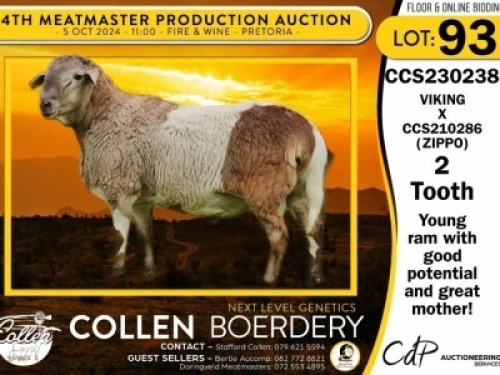 1X MEATMASTER RAM COLLEN BOERDERY