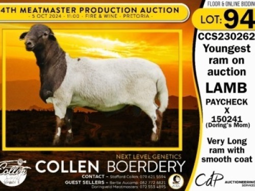 1X MEATMASTER RAM COLLEN BOERDERY