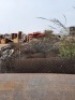 25 - ITEMS Fencing wire used1.8m highEstimate of 30 rolls - 3