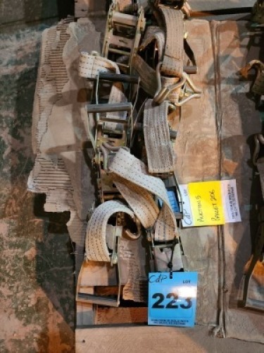 10 - ITEMS 10 x Ratchet tie down