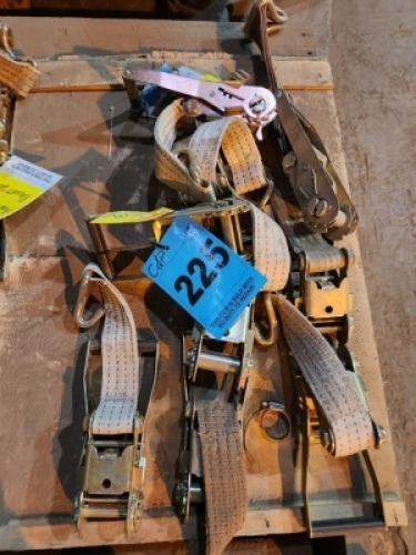 10 - ITEMS 10 x Ratchet tie down