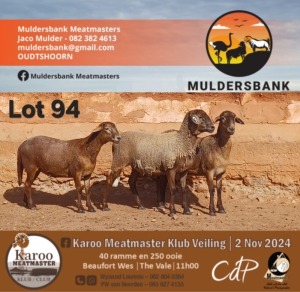 1X MEATMASTER EWE MULDERSBANK MEATMASTERS