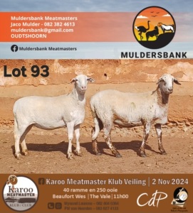 2X MEATMASTER EWE MULDERSBANK MEATMASTERS